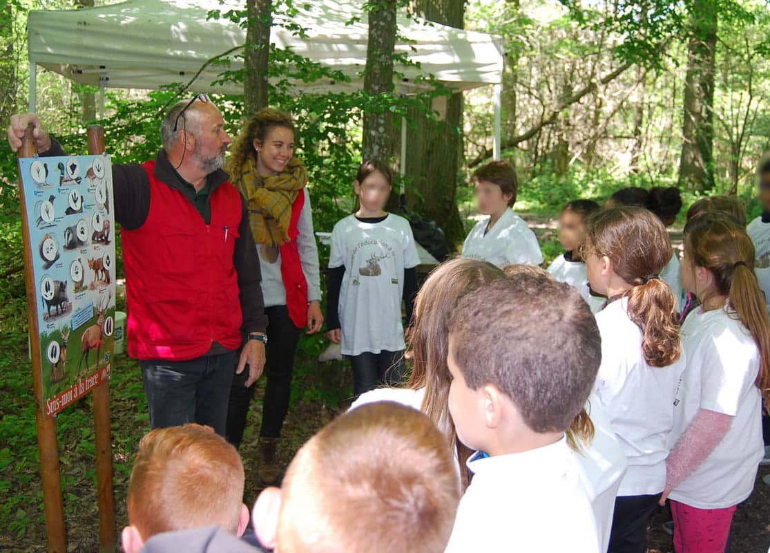 Explication des empreintes des animaux de la forêt
