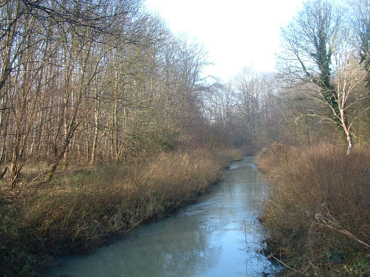 Image du ru d’Ancœur