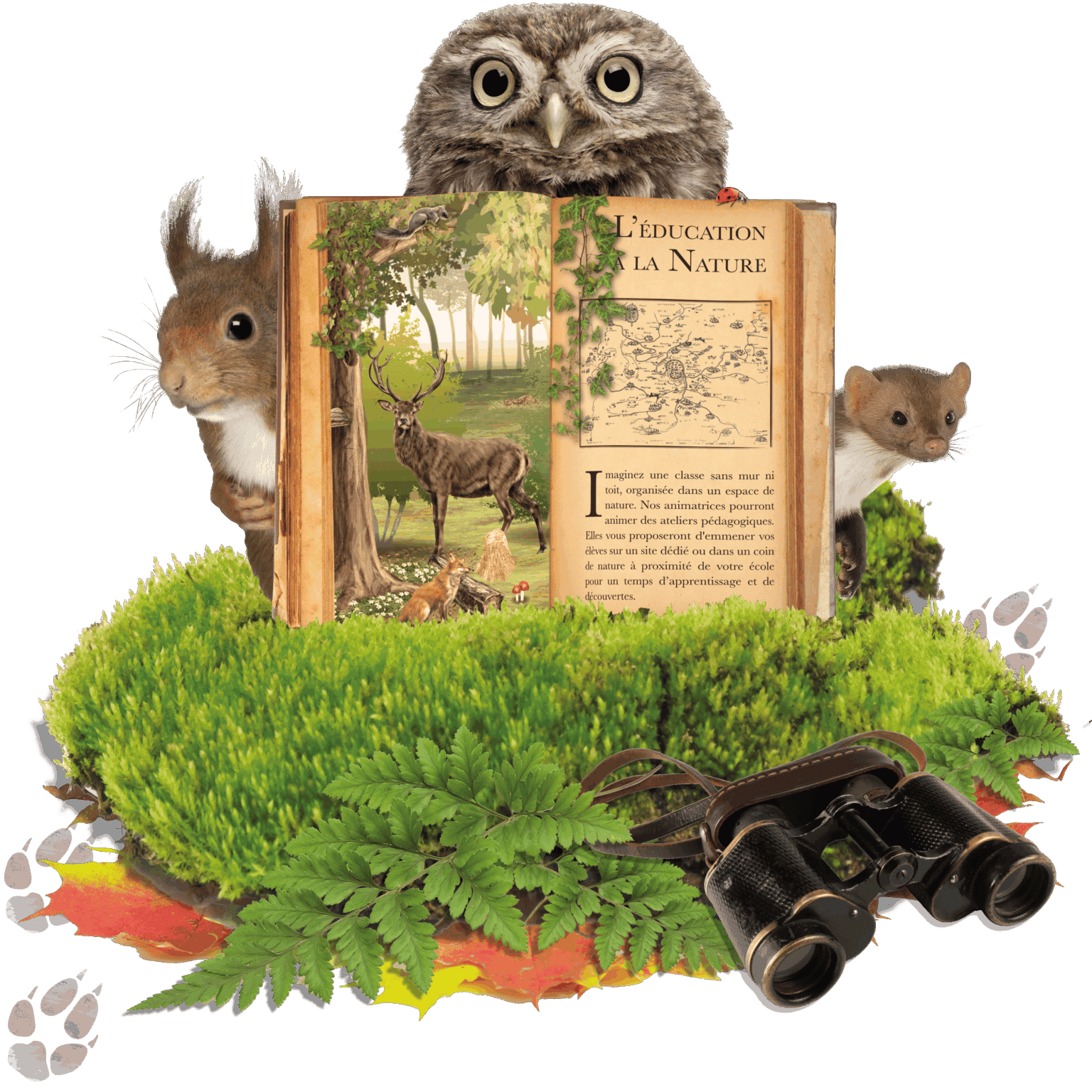 Logo éducation à la Nature