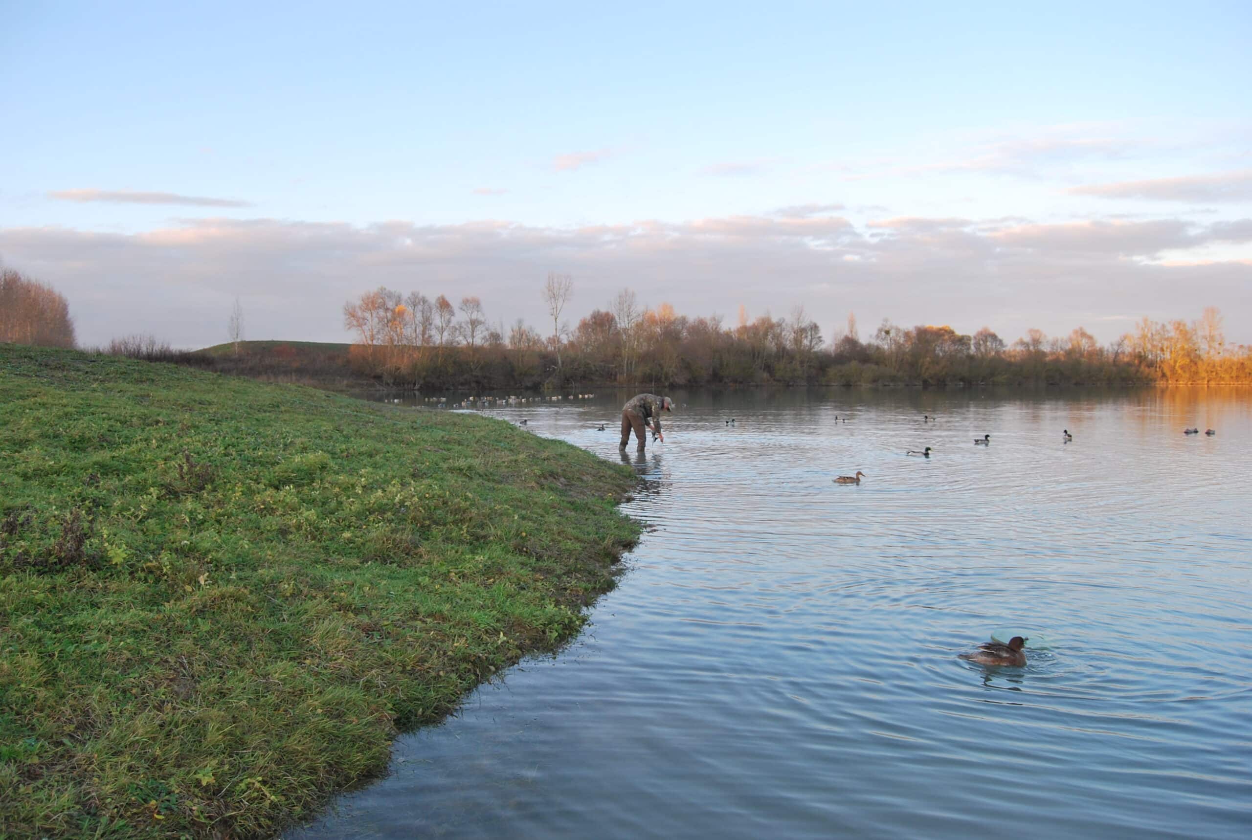 Préparation des installation d'une chasse de nuit à la hutte en Seine-et-Marne